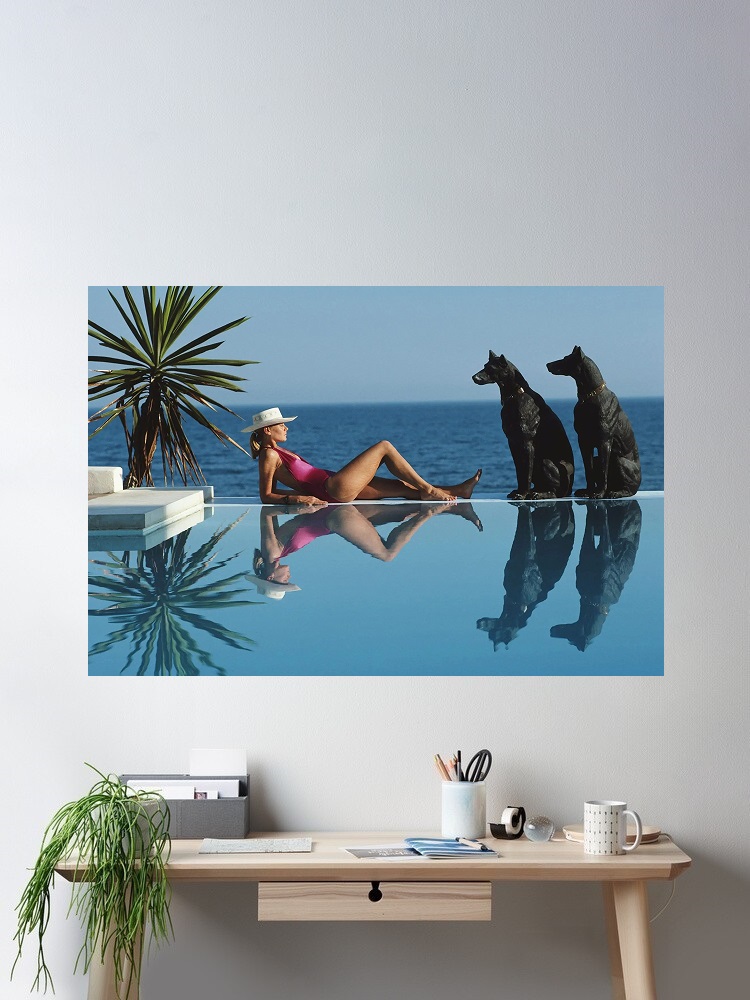 Retro Poolside Host Luxury Lif - مراجعة Luxury Lifestyle Picture وسعره