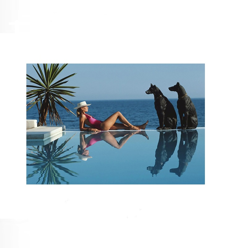 Retro Poolside Host Luxury Lif - مراجعة Luxury Lifestyle Picture وسعره